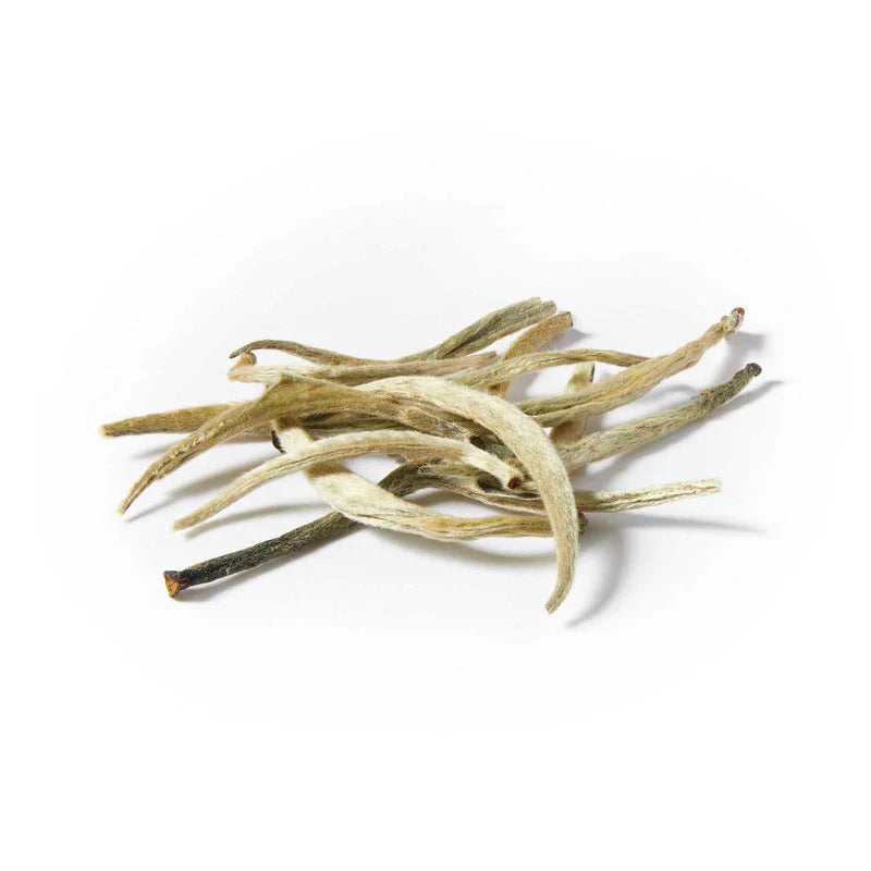 Ceylon Silver Tips – Rare Handpicked White Tea