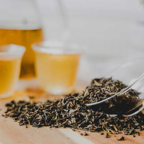 Darjeeling First Flush – Signature Spring Leaf Blend