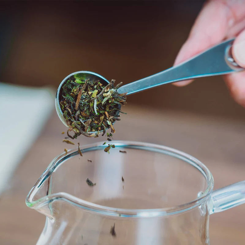 Darjeeling First Flush – Signature Spring Leaf Blend