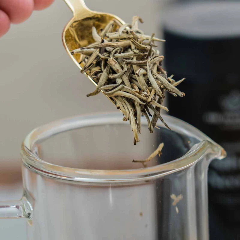 Jasmine Silver – Handcrafted White Leaf Tea