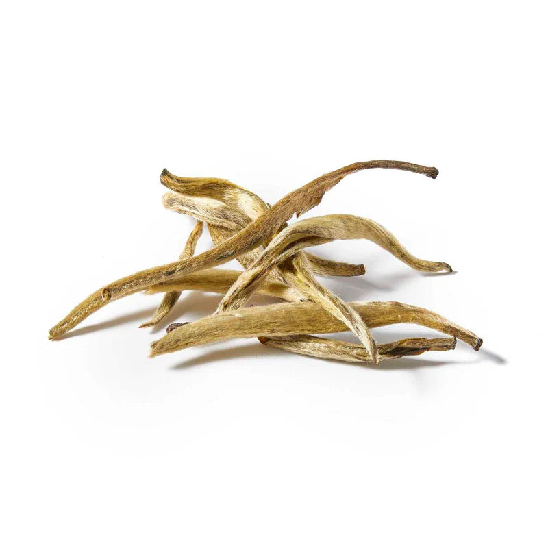 Jasmine Silver – Handcrafted White Leaf Tea