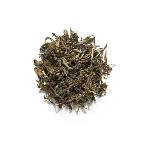 Glenburn Silver Spring – Darjeeling White Tea