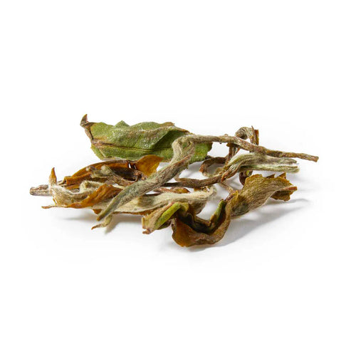 Glenburn Silver Spring – Darjeeling White Tea