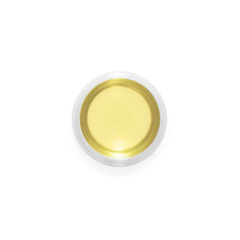 Japanese Sencha – Premium Loose Leaf Green Tea